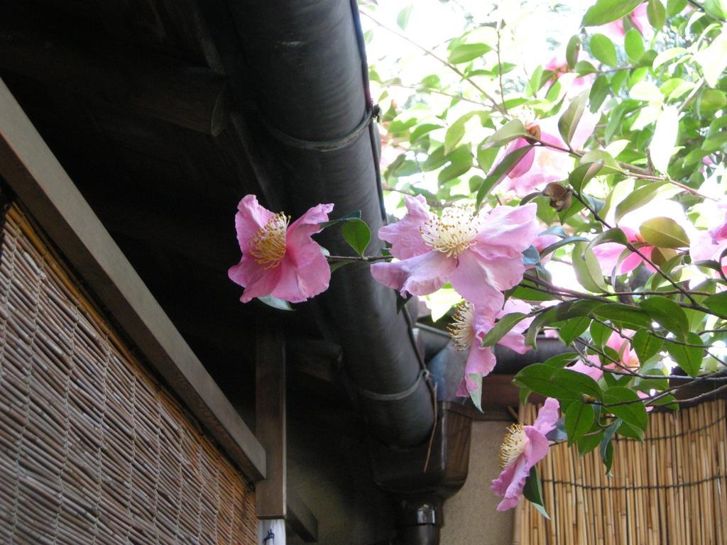 Guesthouse Itoya Kyoto Quioto Exterior foto